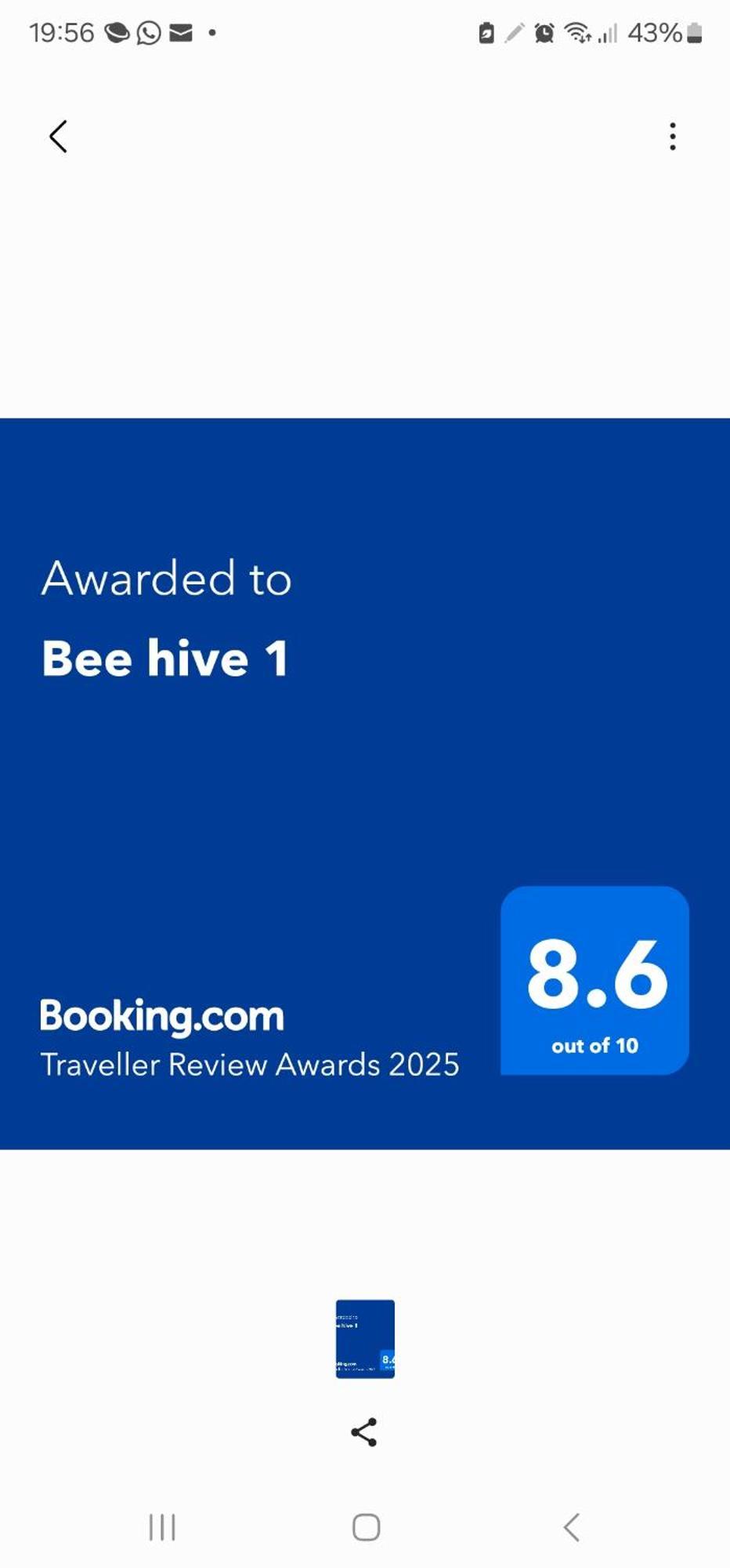 Bee Hive 1 Проживание в семье